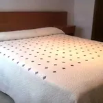 Chiquin 招待所